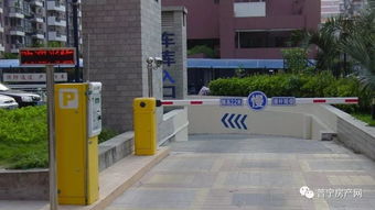 7月1日起普寧市實施機動車新政，解析停車收費系統新規